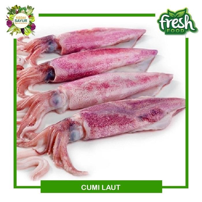 Eat77- Cumi Cumi Basah Segar 250 Gram - Ikan Laut Segar Depok