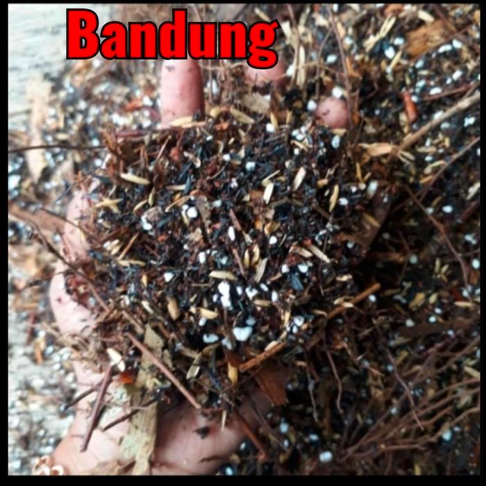 BERMUTU Media tanam ajaib 5 kg, metan aglonema, metan varigata, metan premium