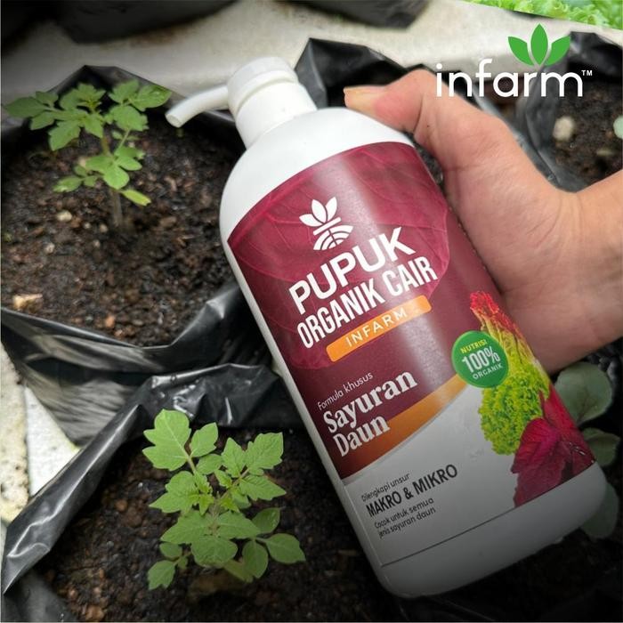 

Promo Infarm - Pupuk Sayuran Pupuk Organik Cair Tanaman Daun / Sayur 1L Poc Kompos Infarm Pupuk