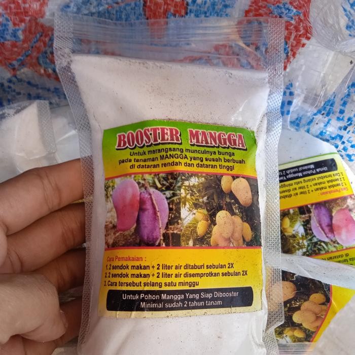 Jlterang Pupuk Boster / Boster Mangga Cepat Berbuah