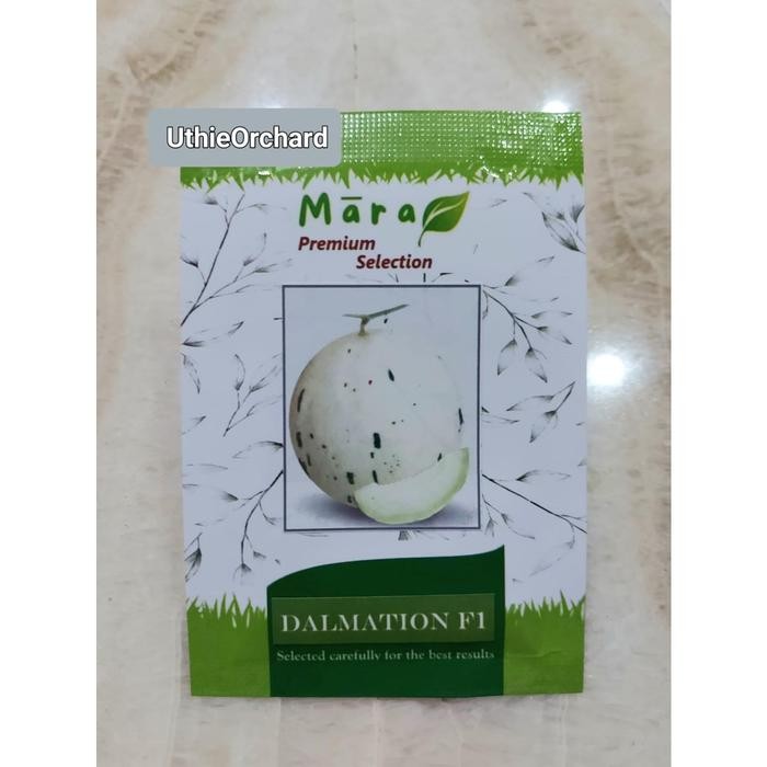 Stok Baru Mara Premium Selection - Benih Melon Dalmation F1