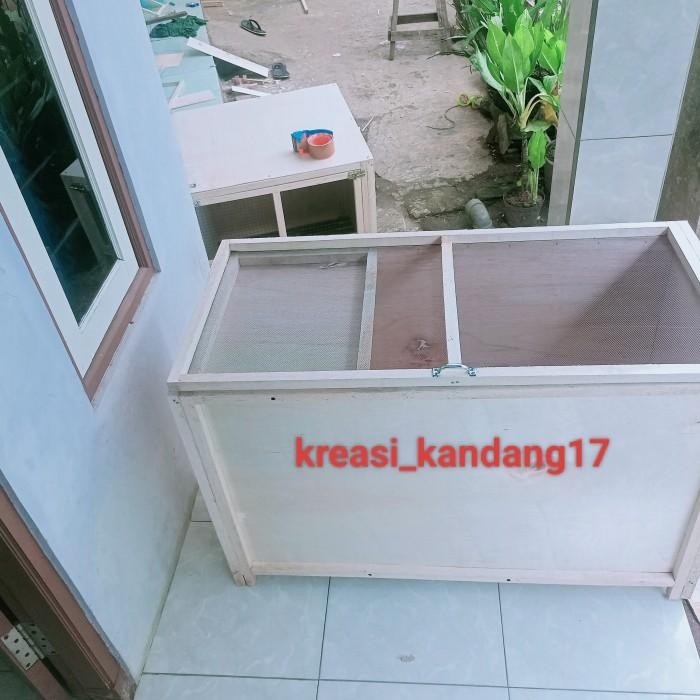 Box jangkrik jumbo ukuran 1006050 cm / kandang jangkrik