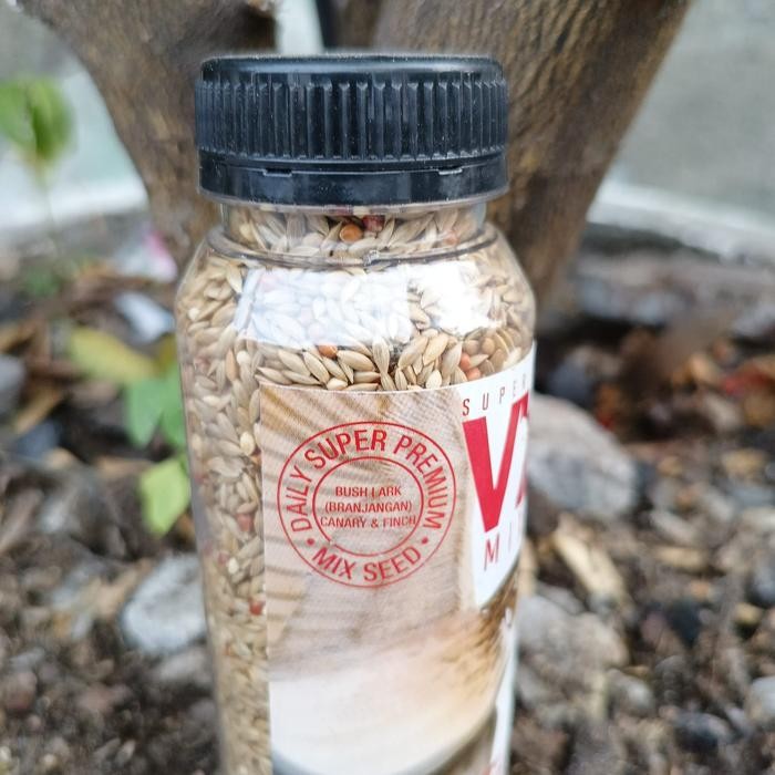 Chocolatoslatoe Vien Mix Premium Seed Vien Branjangan Dosis Tinggi Pakan Kenari Branjangan Lomba