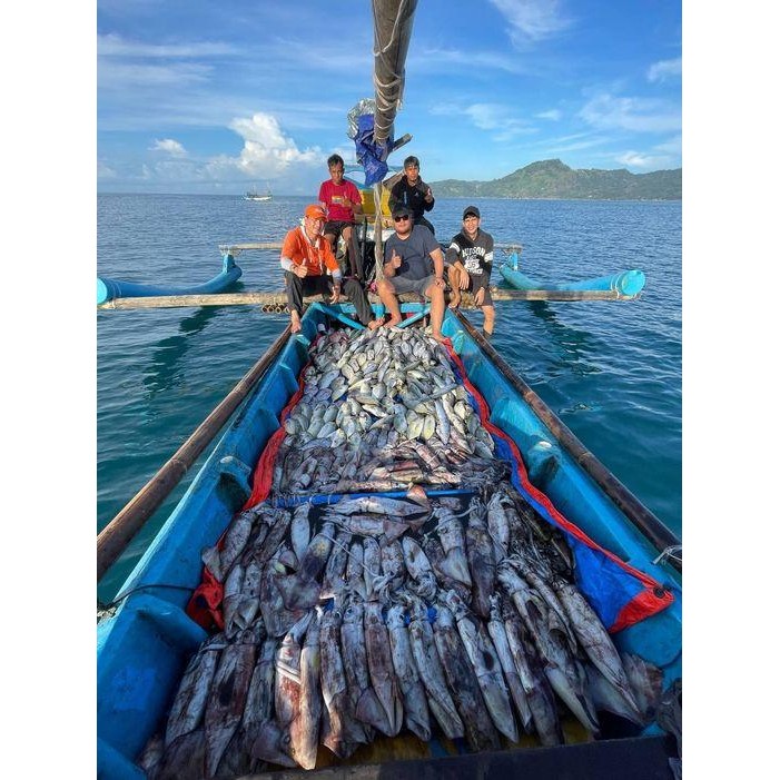 STOK TERBATAS  CAPELLA JIG / UMPAN CUMI / SQUID JIG TERJANGKAU