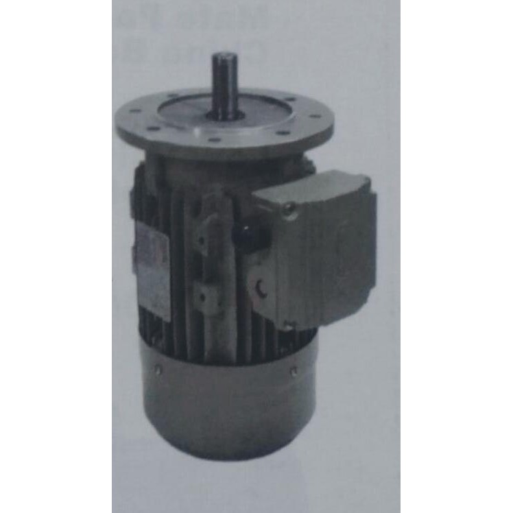 Terlaris 1/4Hp Electro Motor / Dynamo Transmax 1Phase Flange Mounting Terlariss 