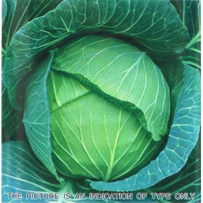 Benih Kubis Hibrida Green Coronet 20gram Taki Seed