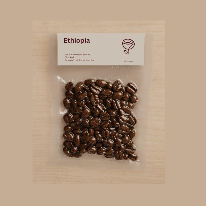 Single Dose Ethiopia Guji Uraga Suke Werekata - Arabica Specialty Coffee Natural - Rosest Rosetery