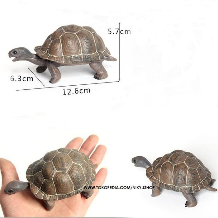Mainan Edukasi Pajangan Miniatur Hewan Anak Kura Kura Galapagos Baby Tortoise Animal Figure