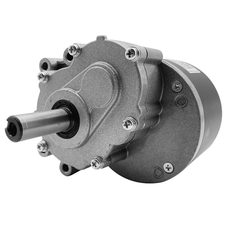 MY1016Z Gear Reduction Motor 24V 250W DC Brush Motor 120Rpm For Electric E-Bike Scooter Tracked