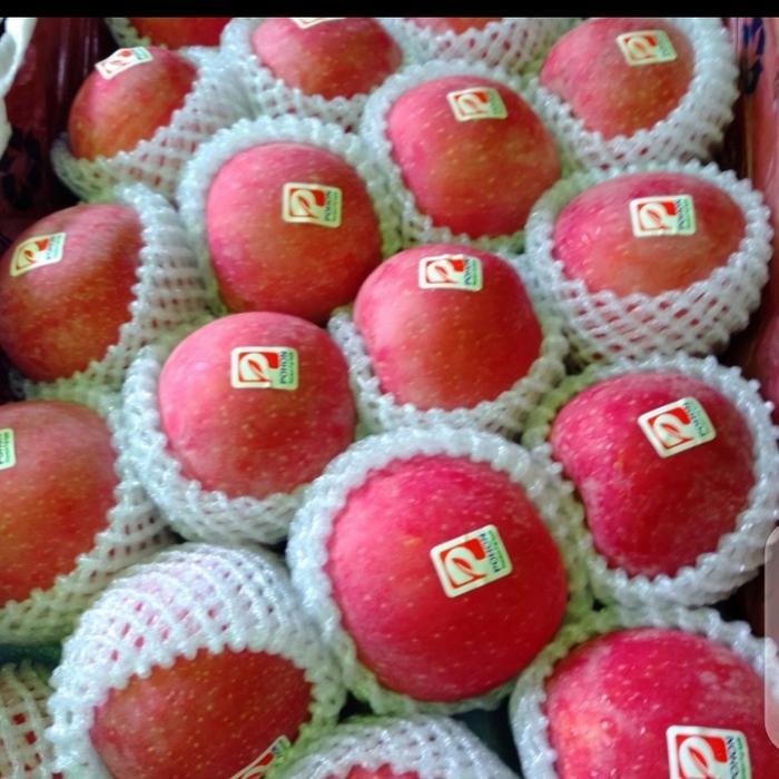 BUAH APEL FUJI PREMIUM MERK POHON MANIS FRESH PER 1 KG