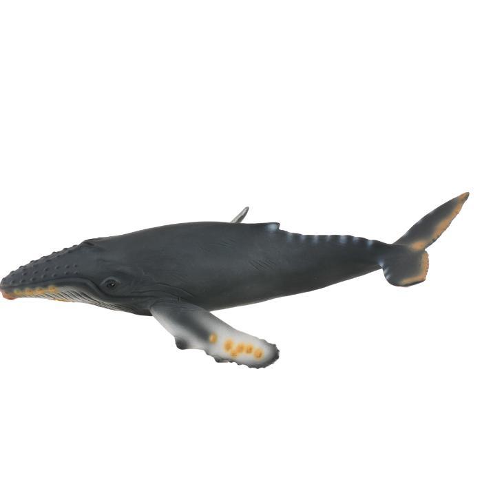 Collecta Figure Humpback Whale 88347 Omah Kampus