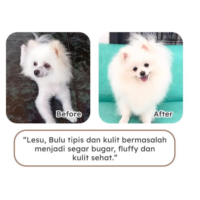 REAL MEAT BEEF MEAT BALL WITH PEANUT SAUCE