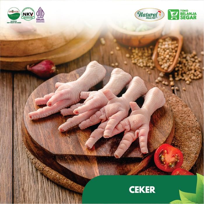 

Pilihan- Ceker Ayam Negeri Organik Probiotik Natural Poultry