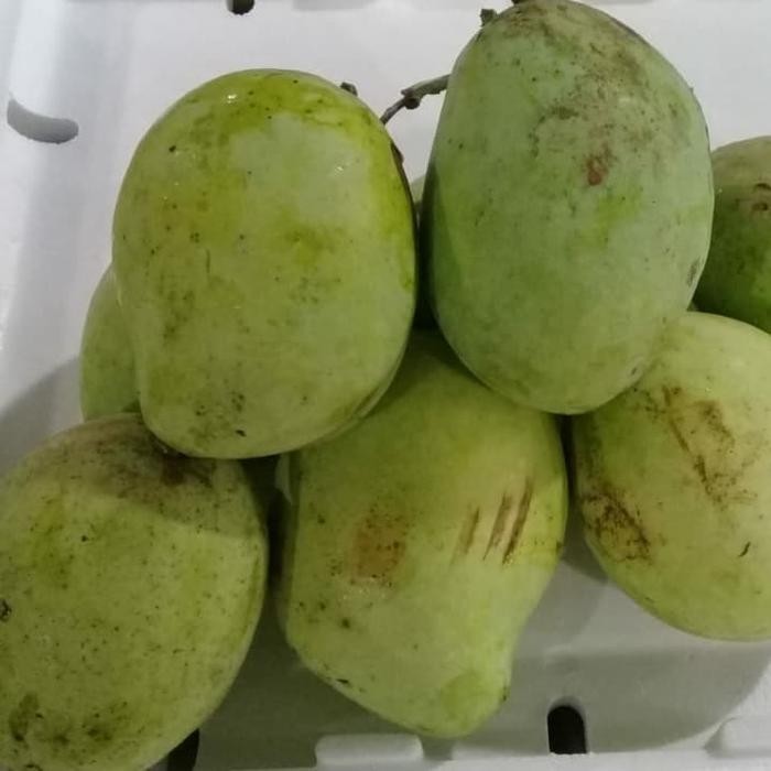 Pilihan- Buah Mangga Cengkir