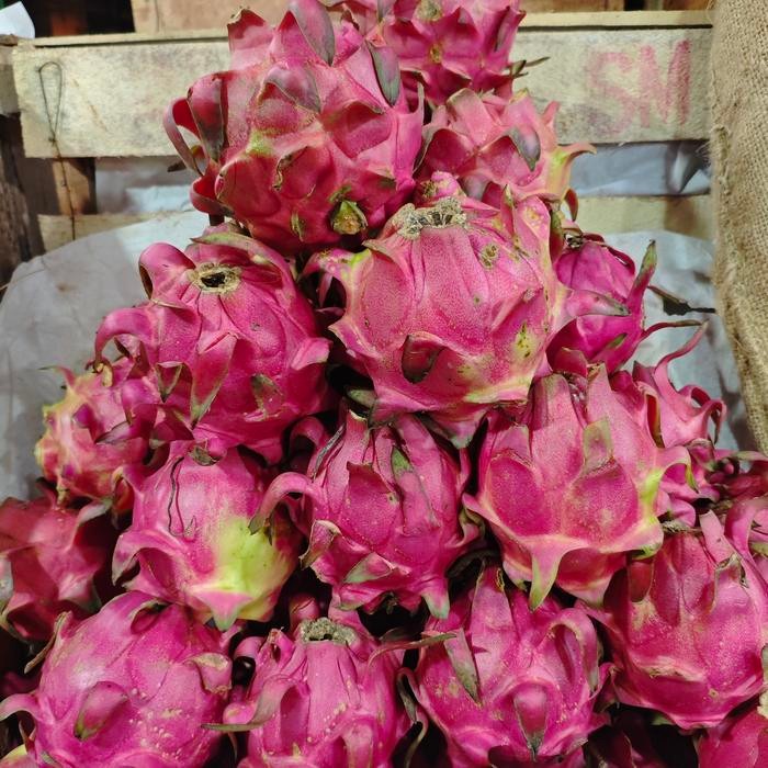 

Pilihan- Naga Merah 1 Kg (2Buah) Chat Kl Mau Yg Jumbo