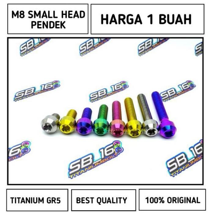 M8 SMALL HEAD TITANIUM GR5 (DRAT12) PENDEK
