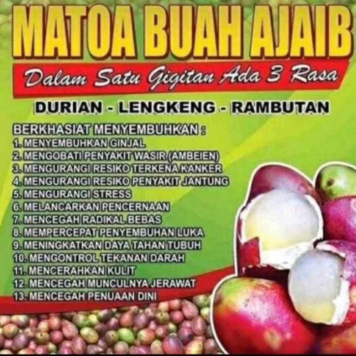 Fruitsz- Buah Matoa 1 Kg
