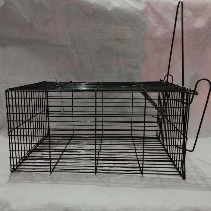 NewsBanget- Jebakan Tikus Besar Perangkap Kurungan Tikus Kawat Baja