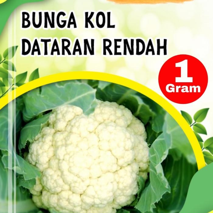 MURAH 1 Gram benih Bunga kol super Dataran rendah - bibit kol