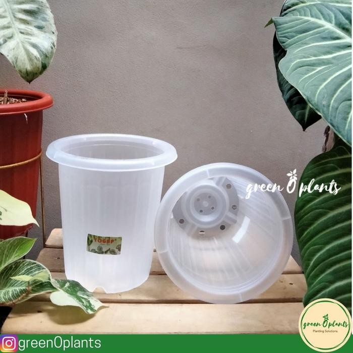 Grosir Pot Yogap YPT 15 Transparan Lusinan