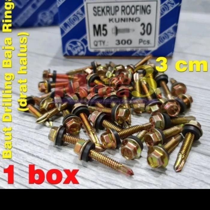 Skrup Roofing Rufing M5x30 3cm isi 300