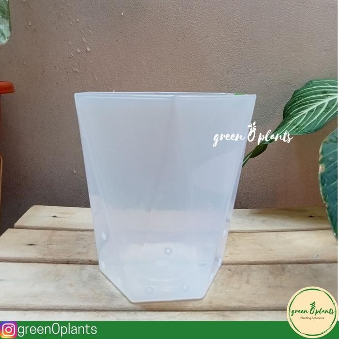 Pot TABITHA Diamond 20 Bening Berlubang