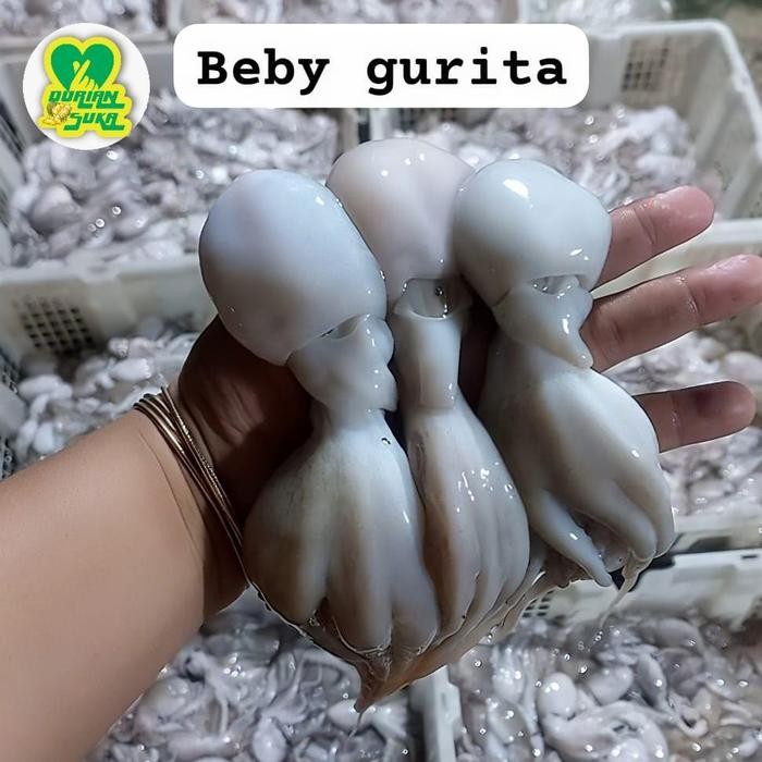 Eat77- Baby Gurita Tako Octopus 1Kg
