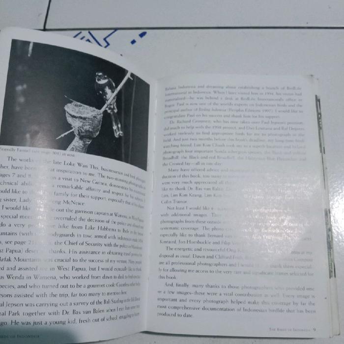Premium A Photographics Guide To The Birds Of Indonesia Original
