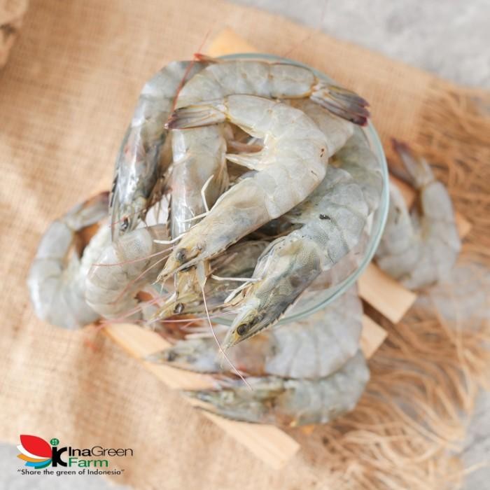 Udang Peci Besar Premium Inagreen Farm Bandung