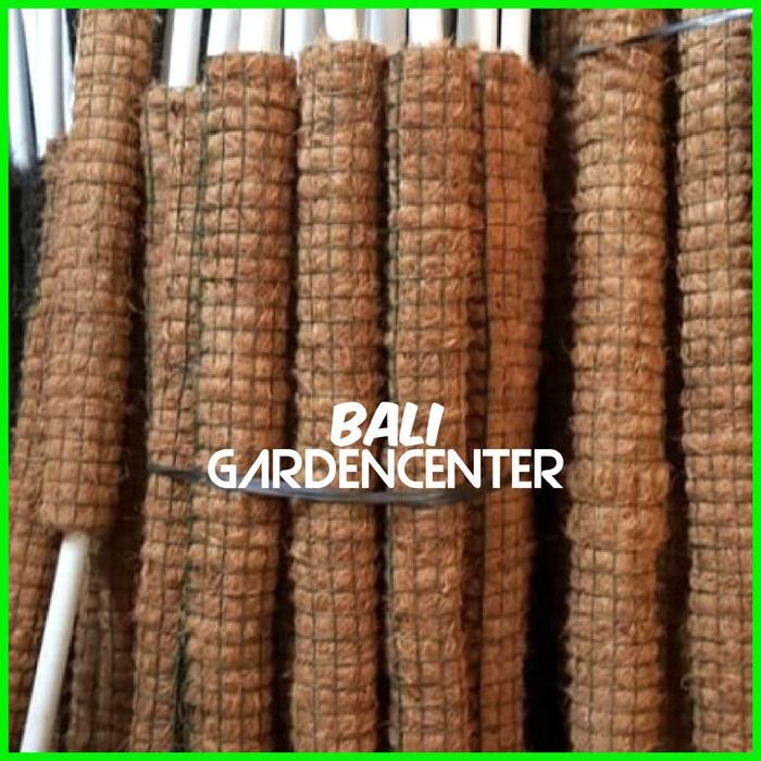 Turus Penyangga Tanaman Rambat - Turus Rambatan Tanaman