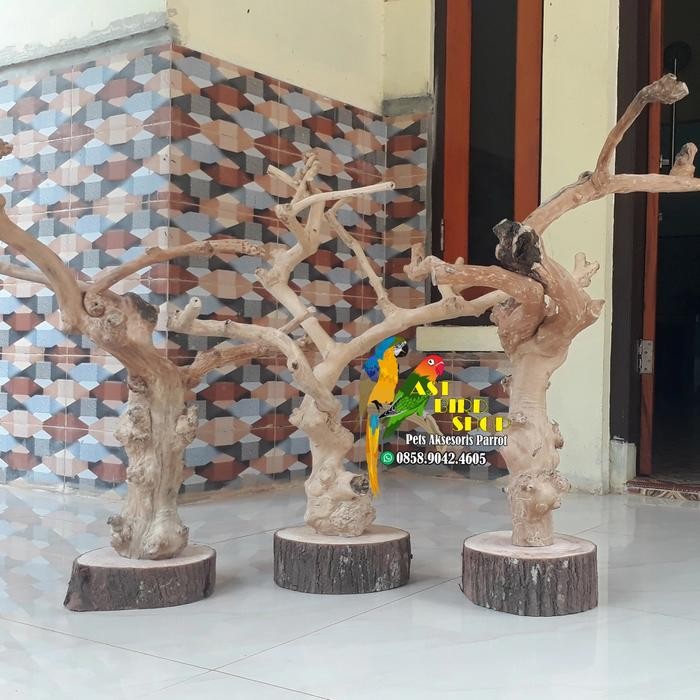 Tangkringan kayu kopi natural