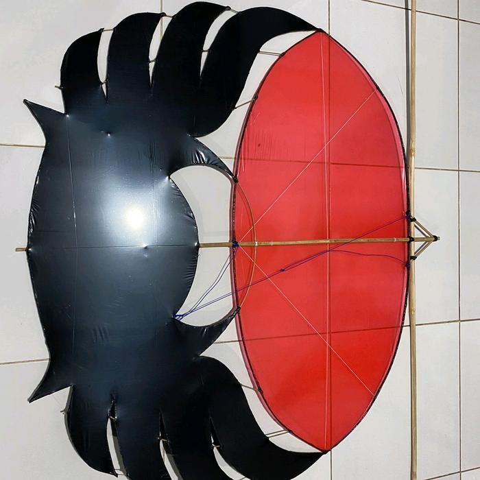 LAYANGAN RAM RAMAN 1 meter + sendaren sudah tes terbang