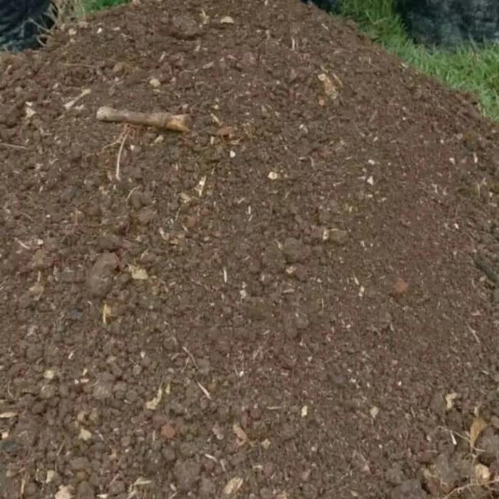 KOMPLIT Tanah Humus Bambu 1 Kg/Media Tanam Tanah Gembur