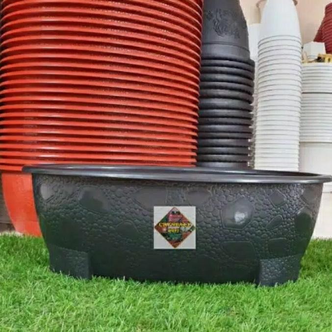 Jlterang Pot Bonsai Oval 10 Plastik 50Cm