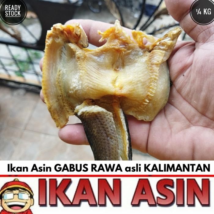 

Pilihan- Ikan Asin Gabus / Haruan Kecil 250 Gr