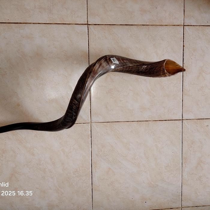 Bisa Gosend Shofar Yeminete