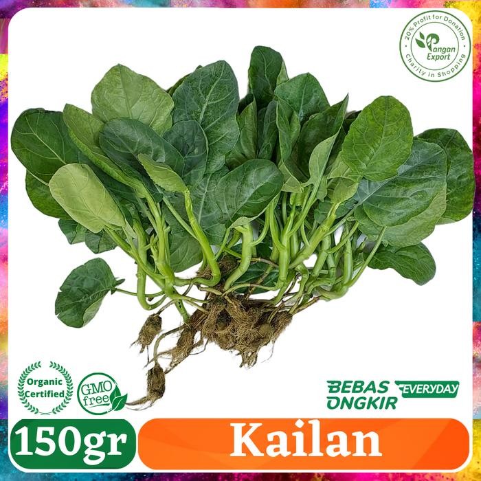 

Pilihan- Baby Kailan / Kailan Organic / Buah Bumbu Sayur Masak By Pangan Export