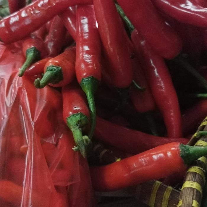 

Pilihan- Cabe Merah Besar Tw 250Gr