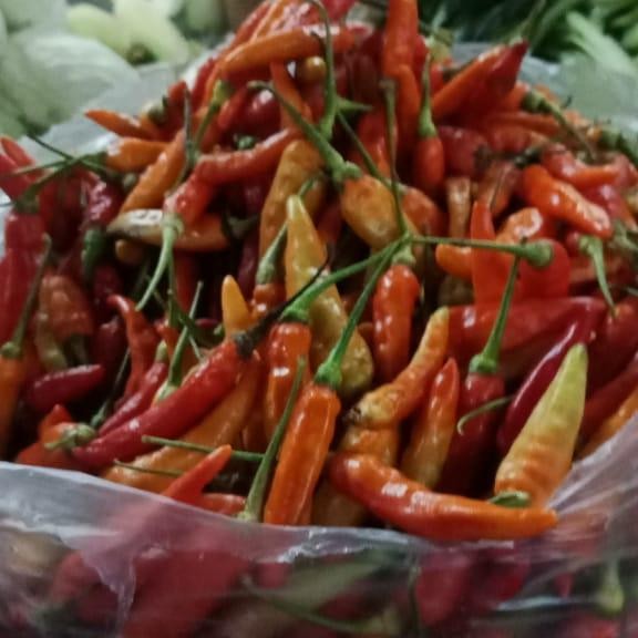 

Pilihan- Rawit Merah 250Gr