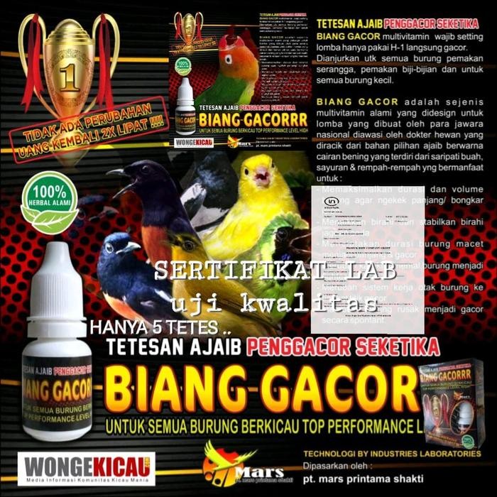 Biang Gacor / Tetesan Ajaib Penggacor Seketika