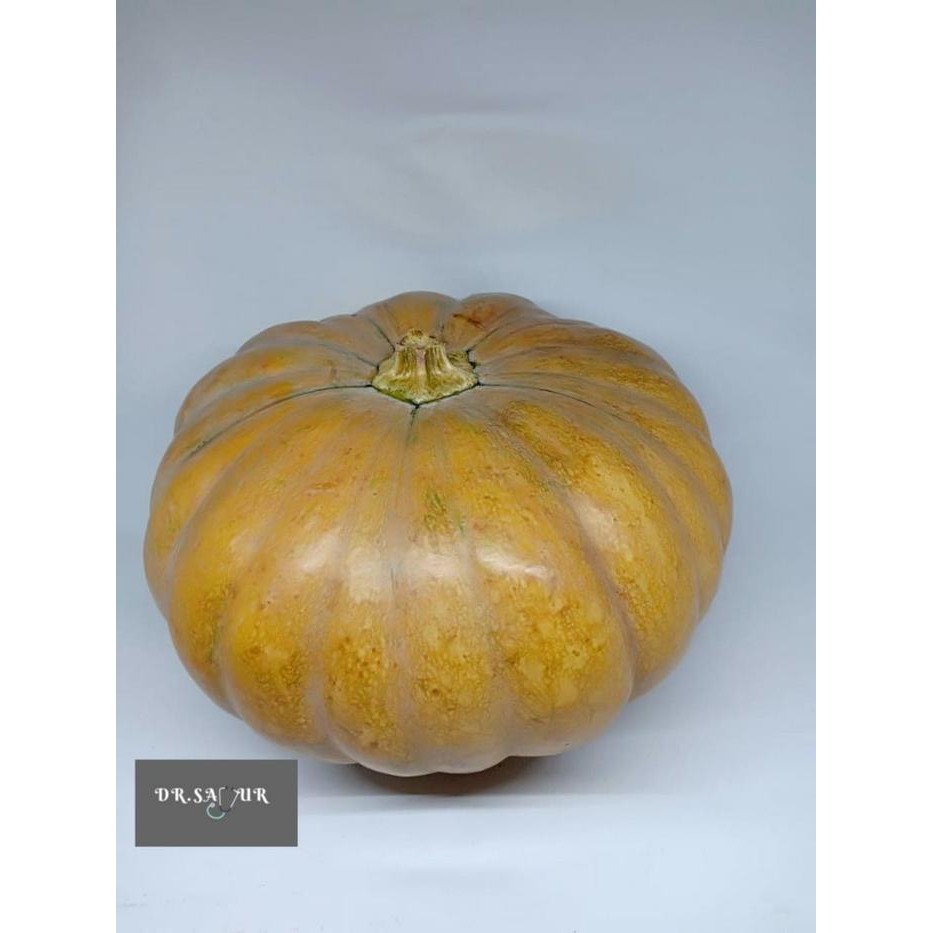 

New Labu parang/Labu kuning/waluh