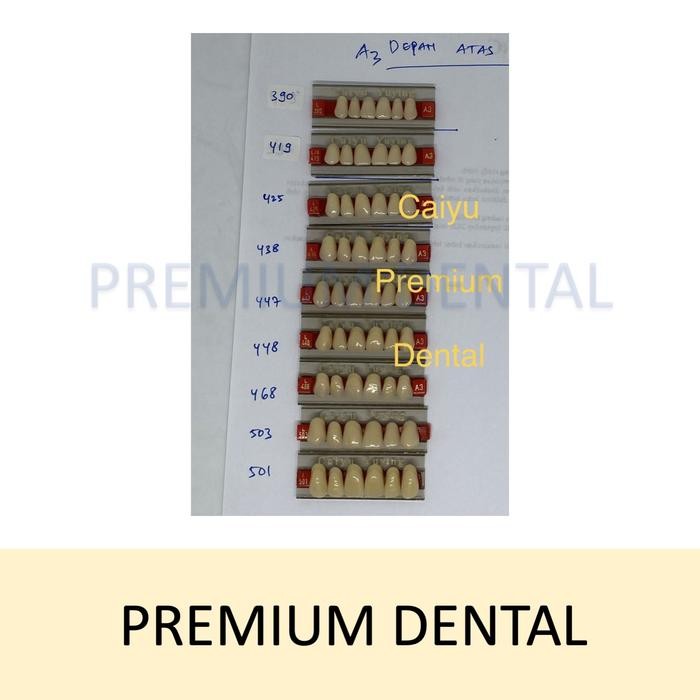 New gigi palsu caiyu A3 depan atas