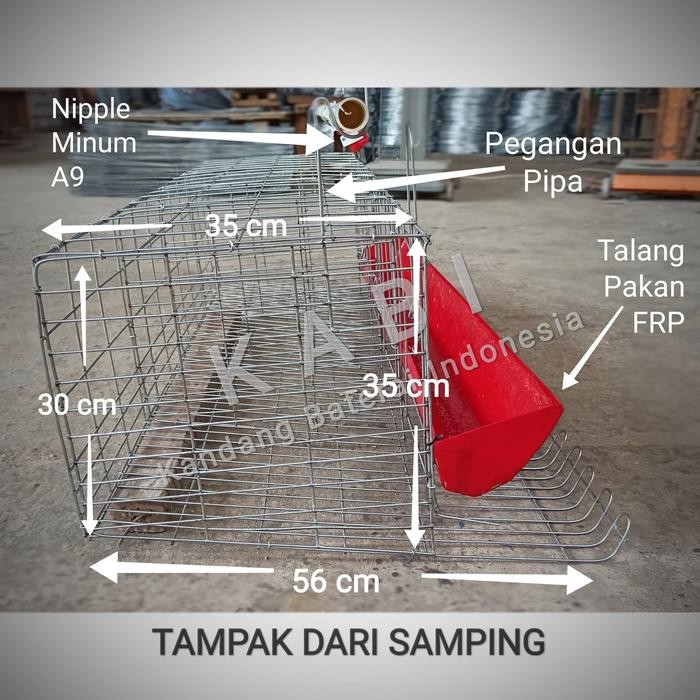 t00e- Kandang Baterai Ayam Petelur/Kandang Battery Galvanise Komplit Set