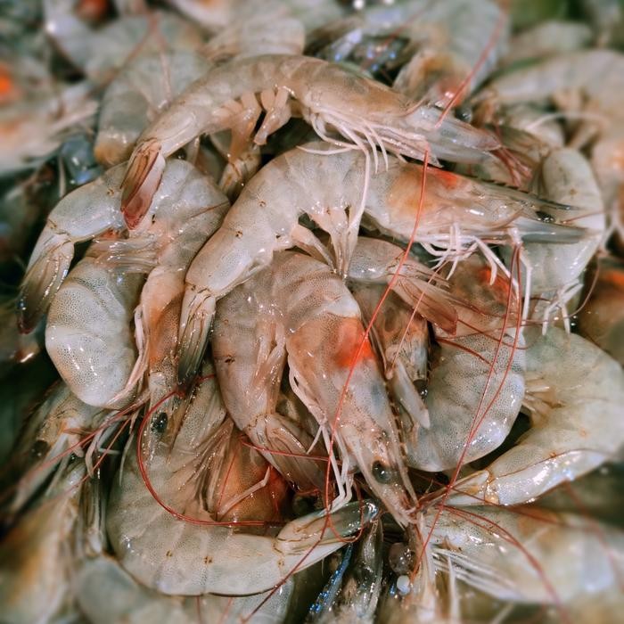 Instanbisa- Udang Vaname Jumbo Segar 500Gr
