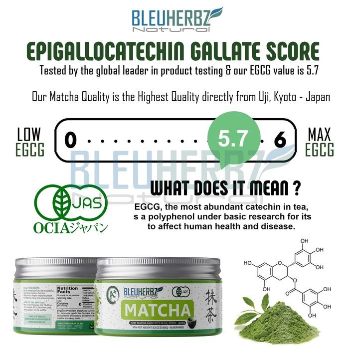 Pure Matcha Powder - Japan Matcha Original Bubuk Premium Grade 100Gr Pasti Ori