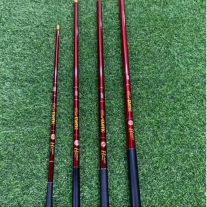 Tegek Haizen Red Exotic Kaku Best Seller