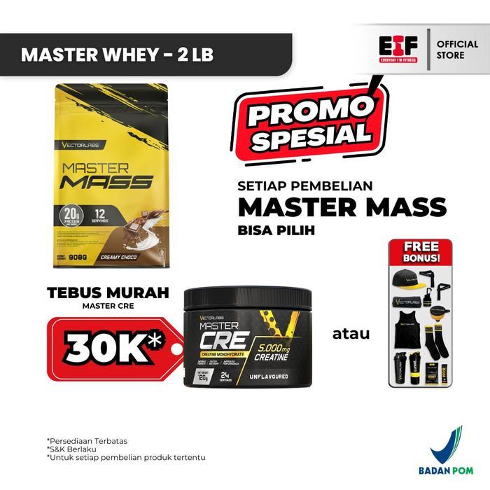VECTORLABS MASTER MASS 2 LBS / LB / 900 GRAM - MASTER MASS BY VECTORLABS - EVERYDAYIMFITNESS