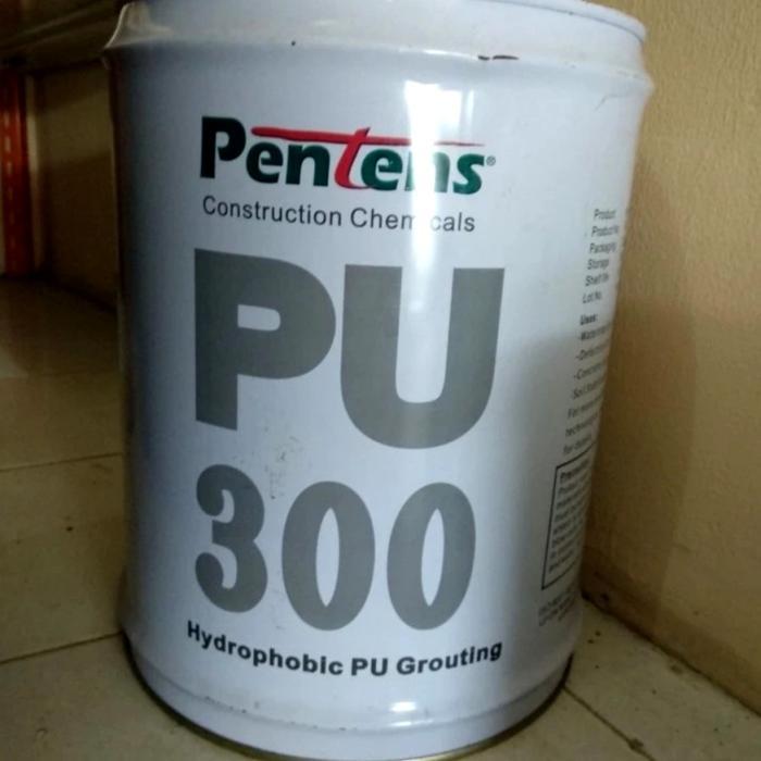 READY Pentens PU 300 polyurethane
