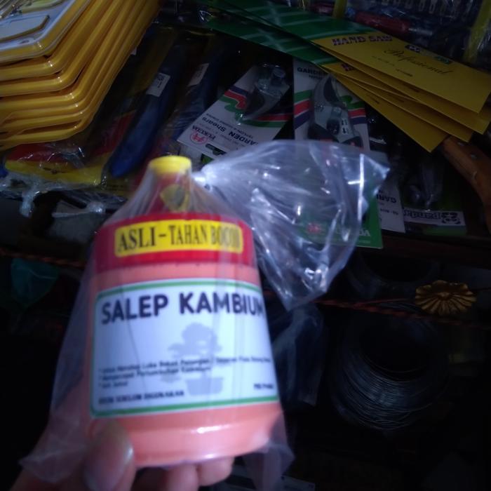 Salep Kambium Bonsai Perlengkapan Alat Bonsai Terbatas