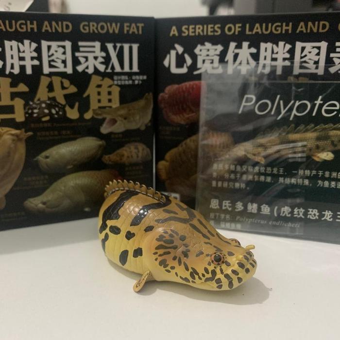 MINIATUR IKAN PREDATOR (PARI AIR TAWAR, ARWANA, ARAPAIMA, ENDLICHERI, ALIGATOR)